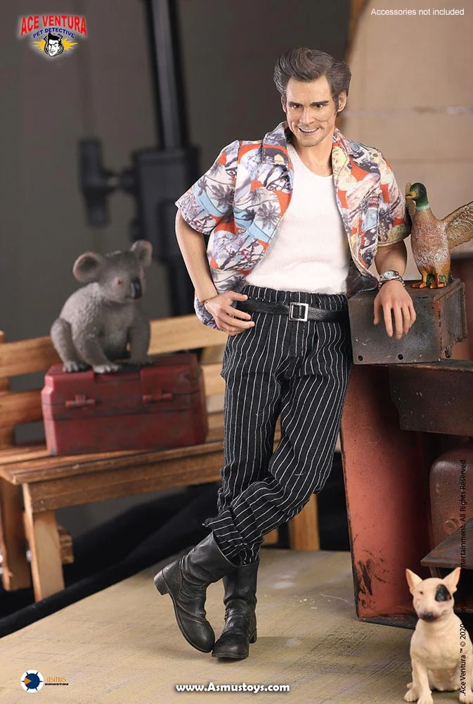 Ace Ventura: Pet Detective Ace Ventura 1/6 Scale Action Figure By ASMUS TOYS - Image 3