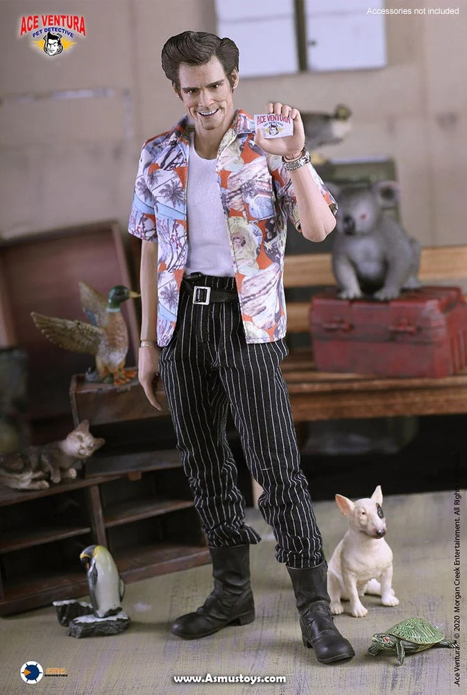 Ace Ventura: Pet Detective Ace Ventura 1/6 Scale Action Figure By ASMUS TOYS - Image 4