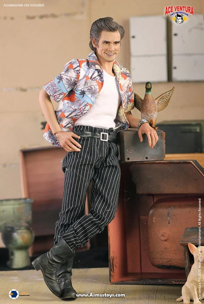 Ace Ventura: Pet Detective Ace Ventura 1/6 Scale Action Figure By ASMUS TOYS - Image 5