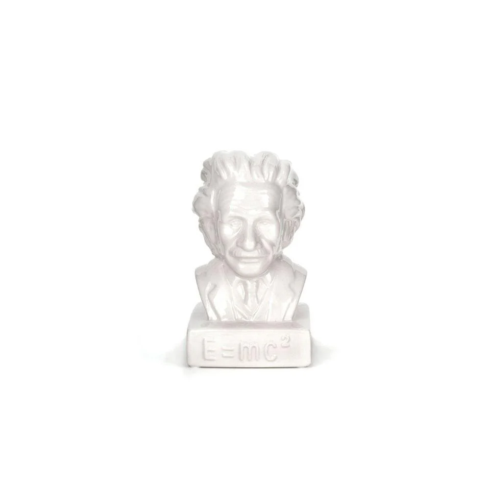 COIN BANK EINSTEIN