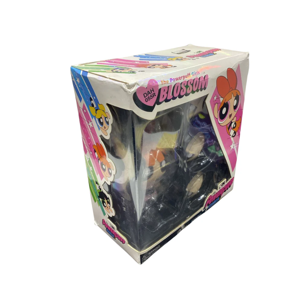 The Powerpuff girl Blossom DAH-055R [DAMAGE BOX] - Image 2