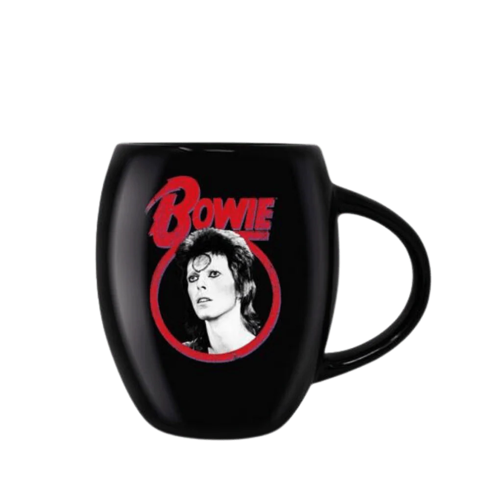 DAVID BOWIE ALADDIN SANE (OVAL MUG) By Pyramid