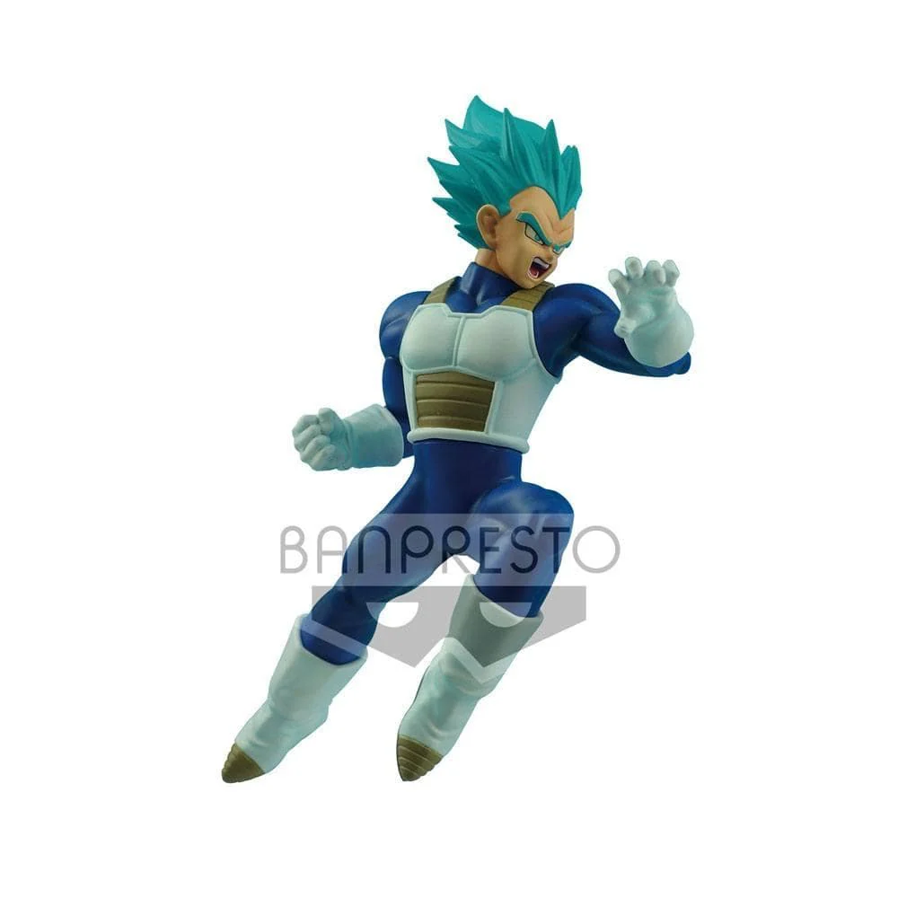 DBS in Flight Fight-VEGETA-