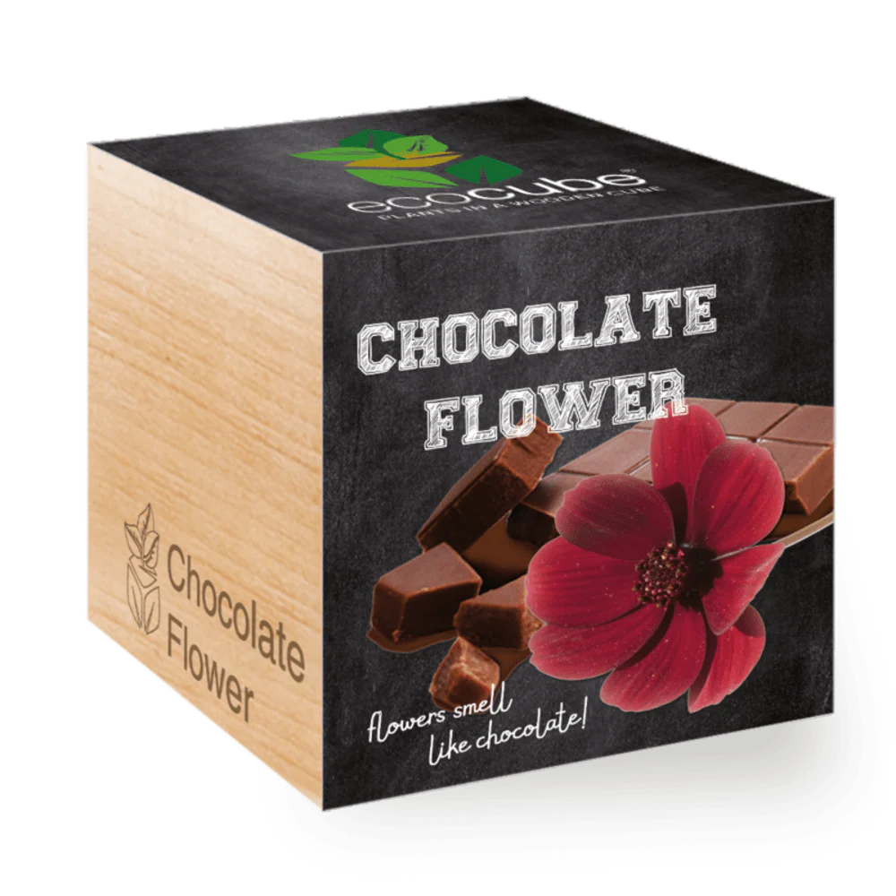 Ecocube Chocolate Flower