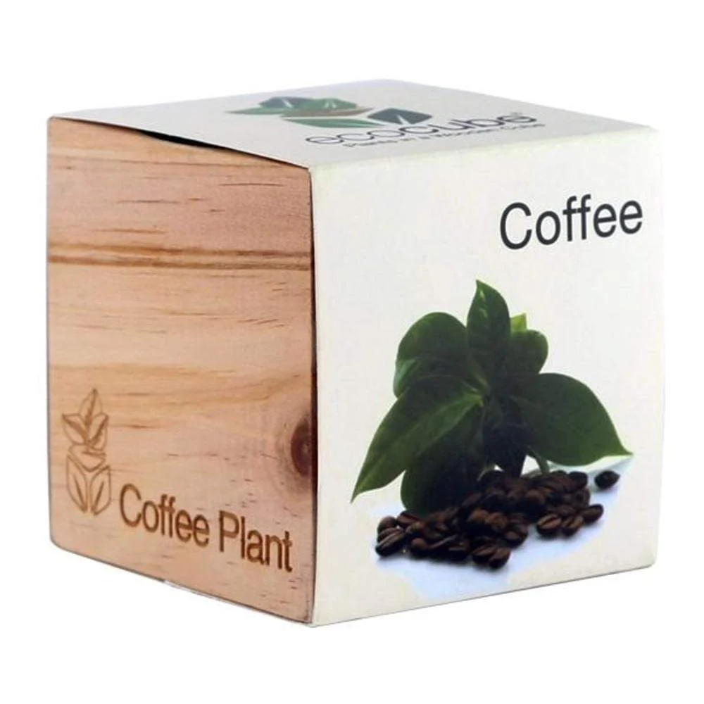 Ecocube Coffee