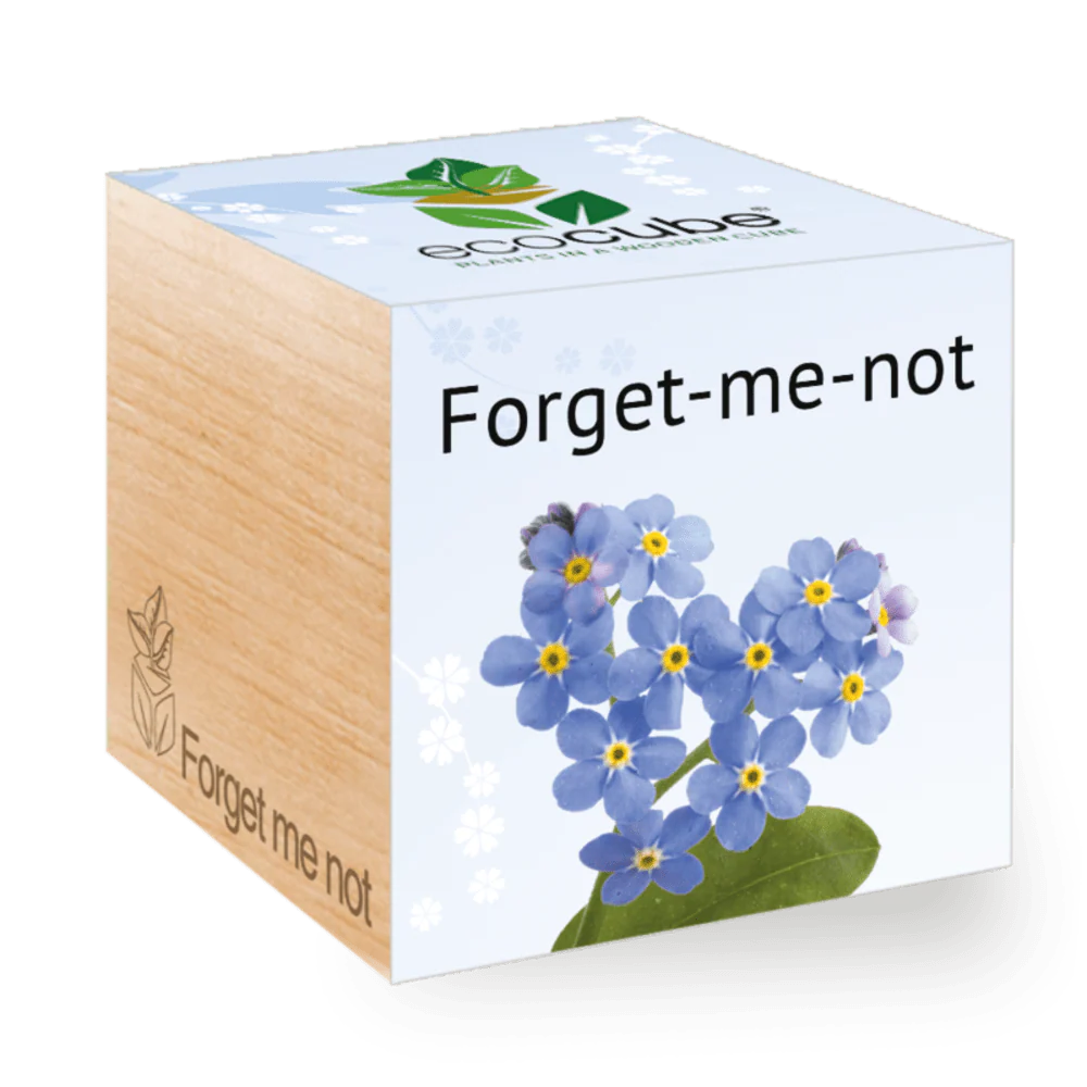 Ecocube Forget Me Not