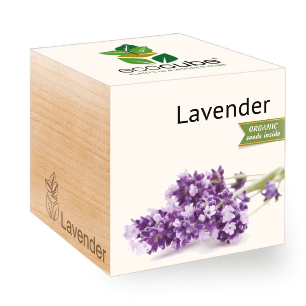 Ecocube Lavender