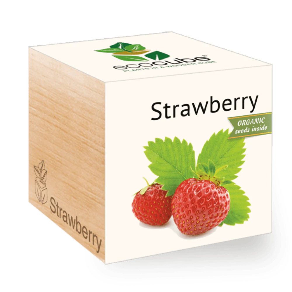 Ecocube Strawberry