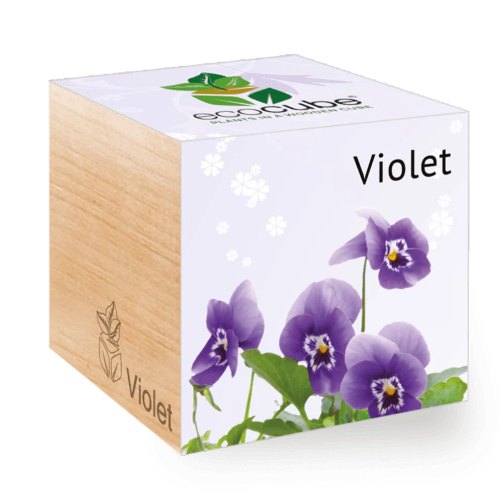 Ecocube Violet