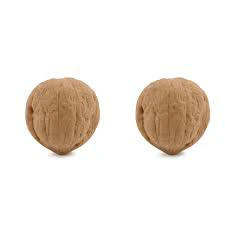 Eraser Walnuts Pack of 2 by Kikkerland - Image 2
