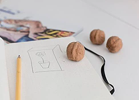 Eraser Walnuts Pack of 2 by Kikkerland - Image 3
