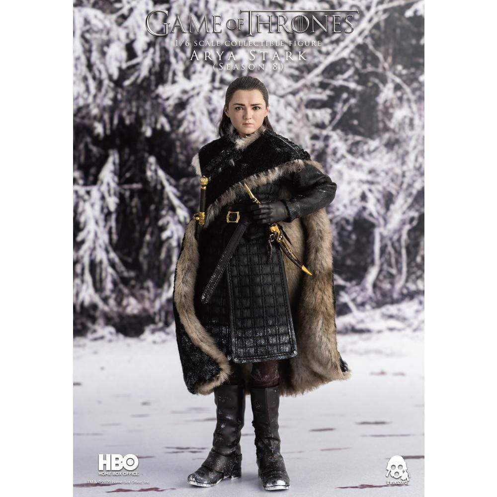 ThreeZero : Game of Thrones – 1/6 Arya Stark - Image 3