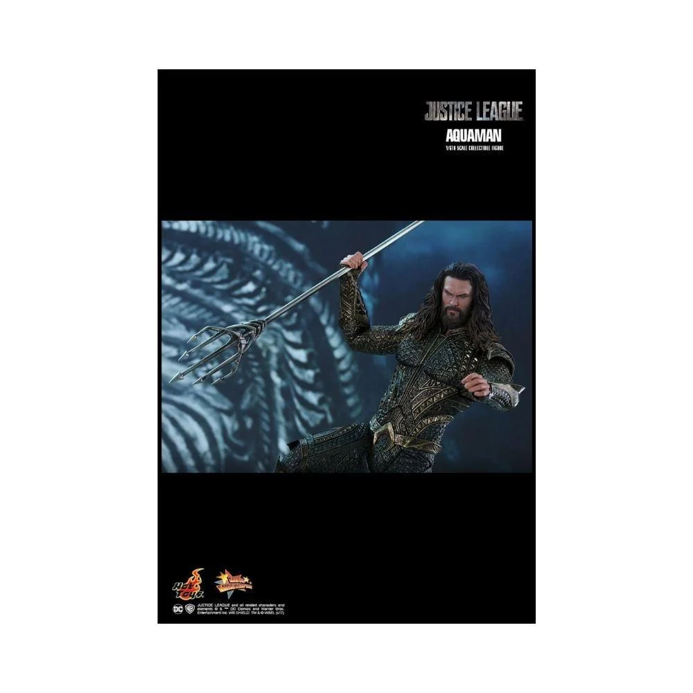 Hot Toys : Aquaman Justice League Sixth Scale - Image 5