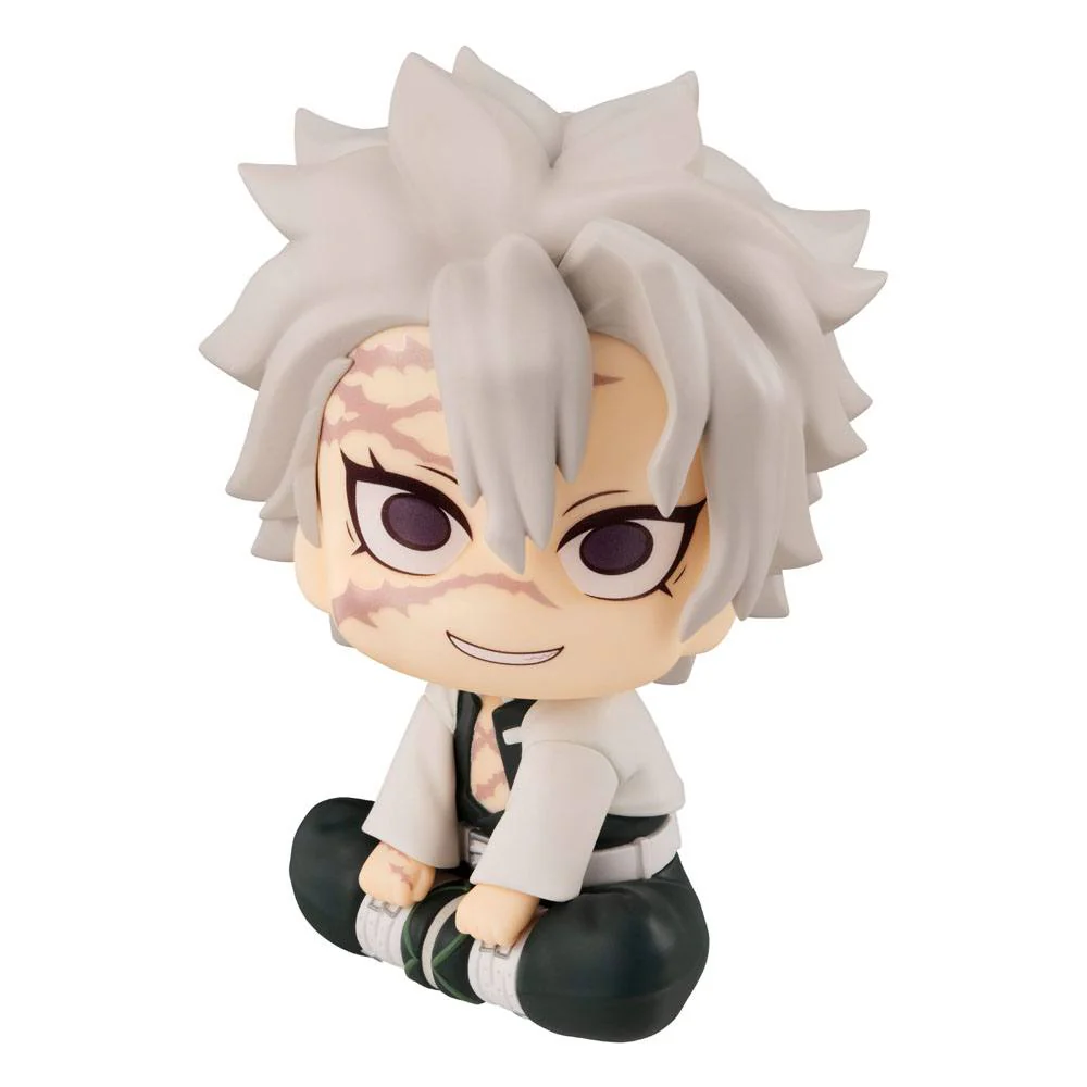 Lookup Demon Slayer Shinazugawa Sanemi