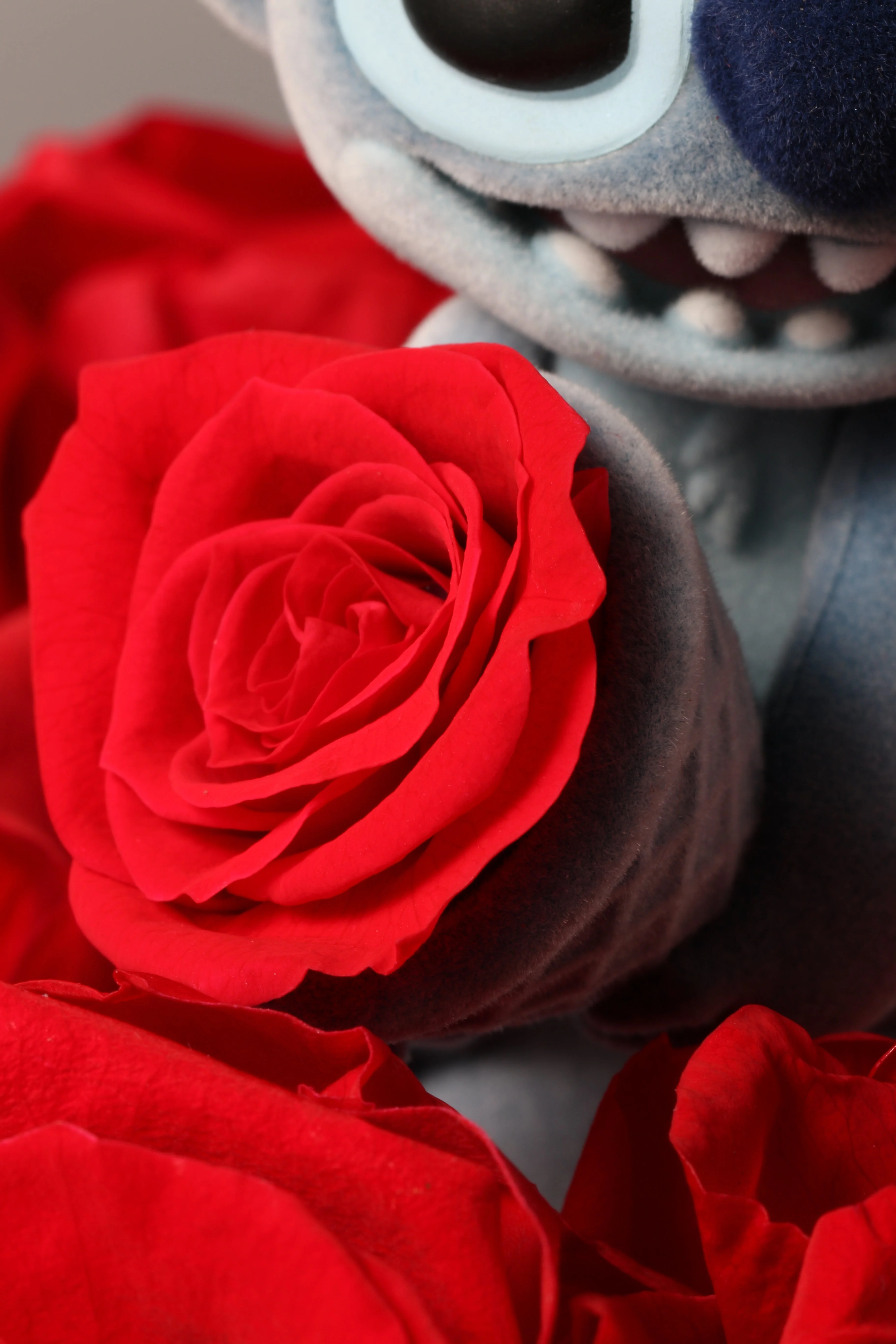 Love'S Flower Language Series Stitch Bucket Gifts By Betine - Image 8