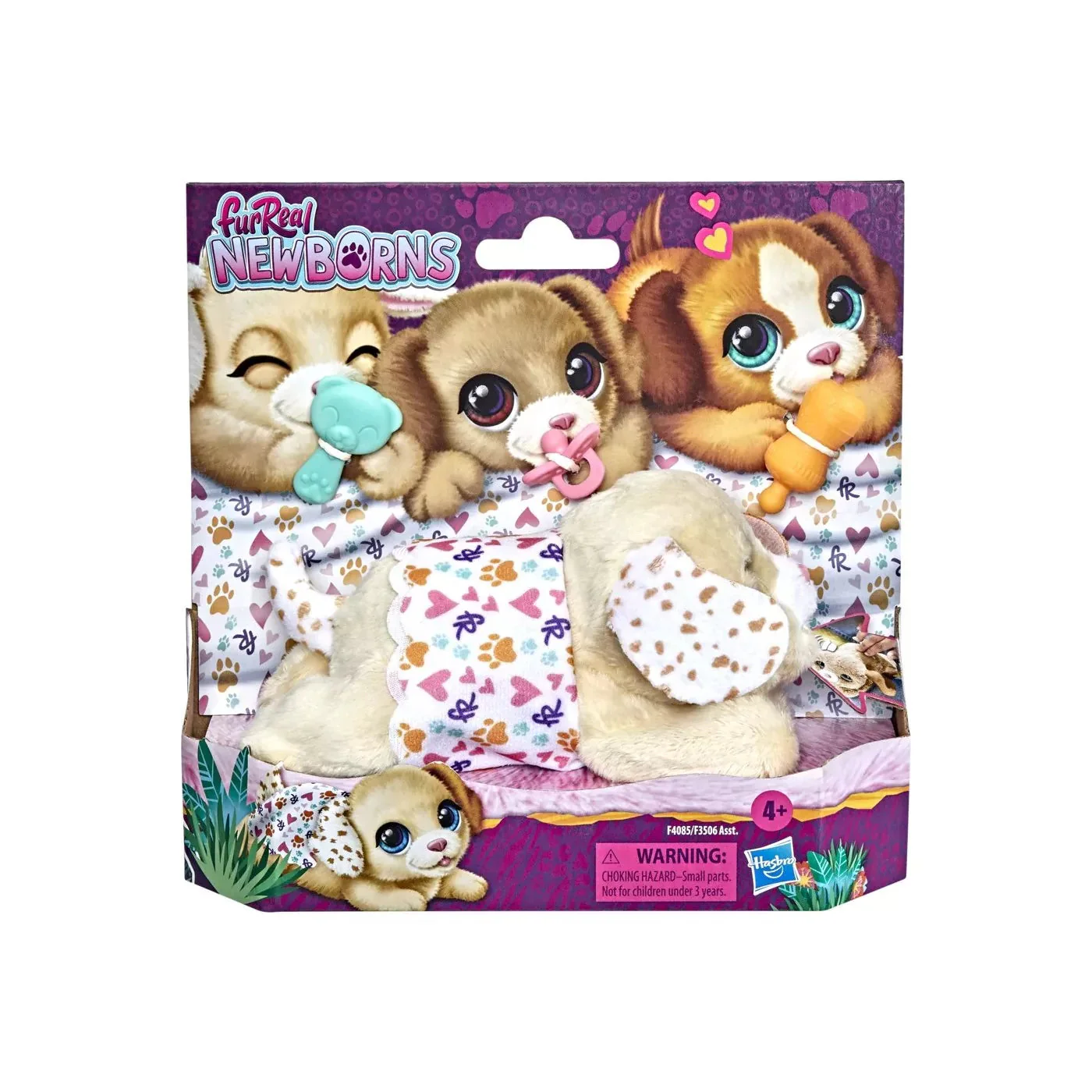 Newborns - Puppy - Image 2