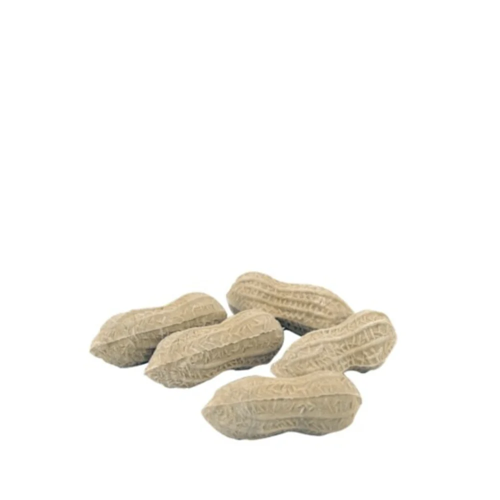 Peanut Erasers In A Tub by Kikkerland