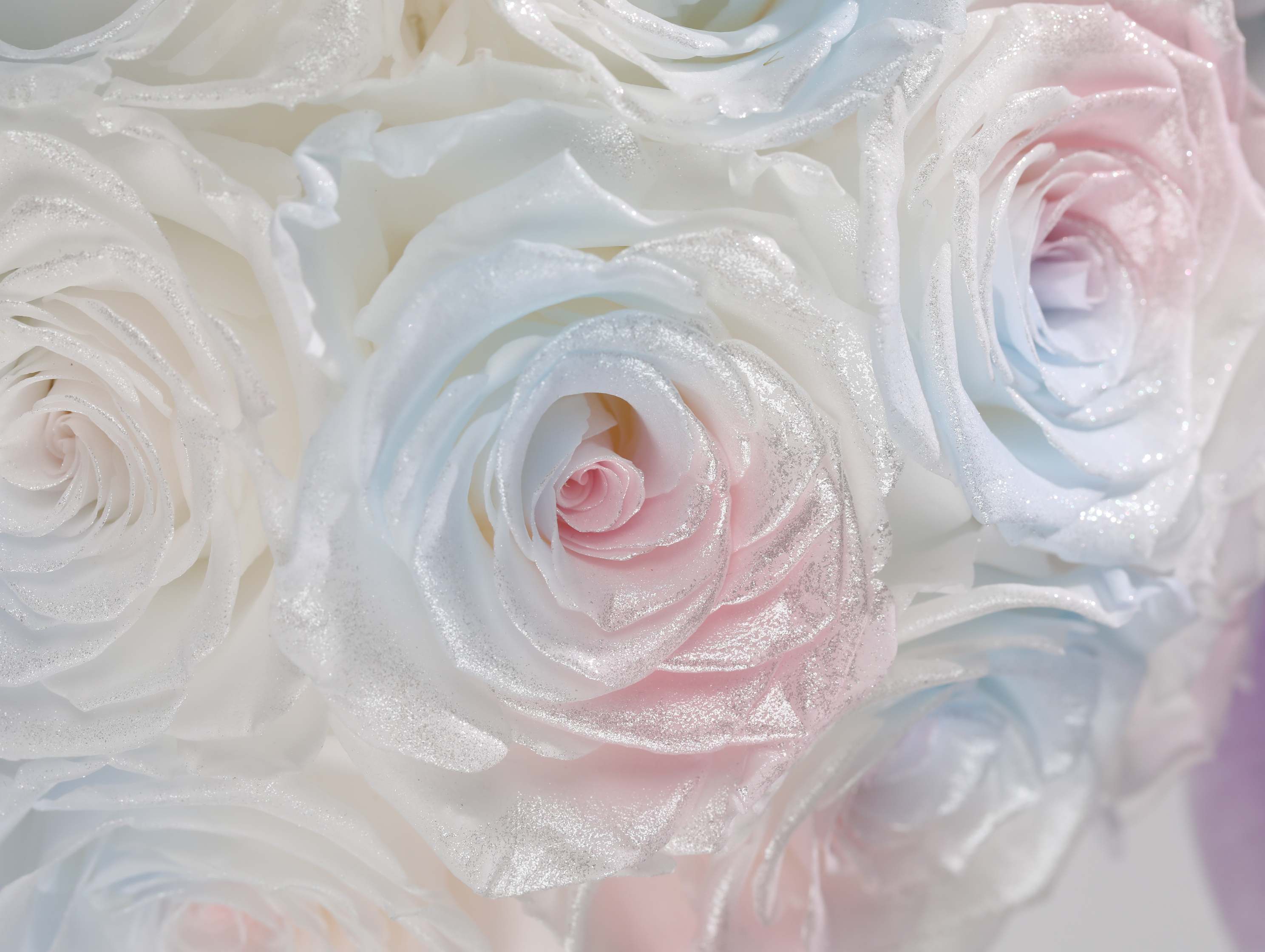 Stitch Preserved Flower Bucket Gifts By Betine - Image 4