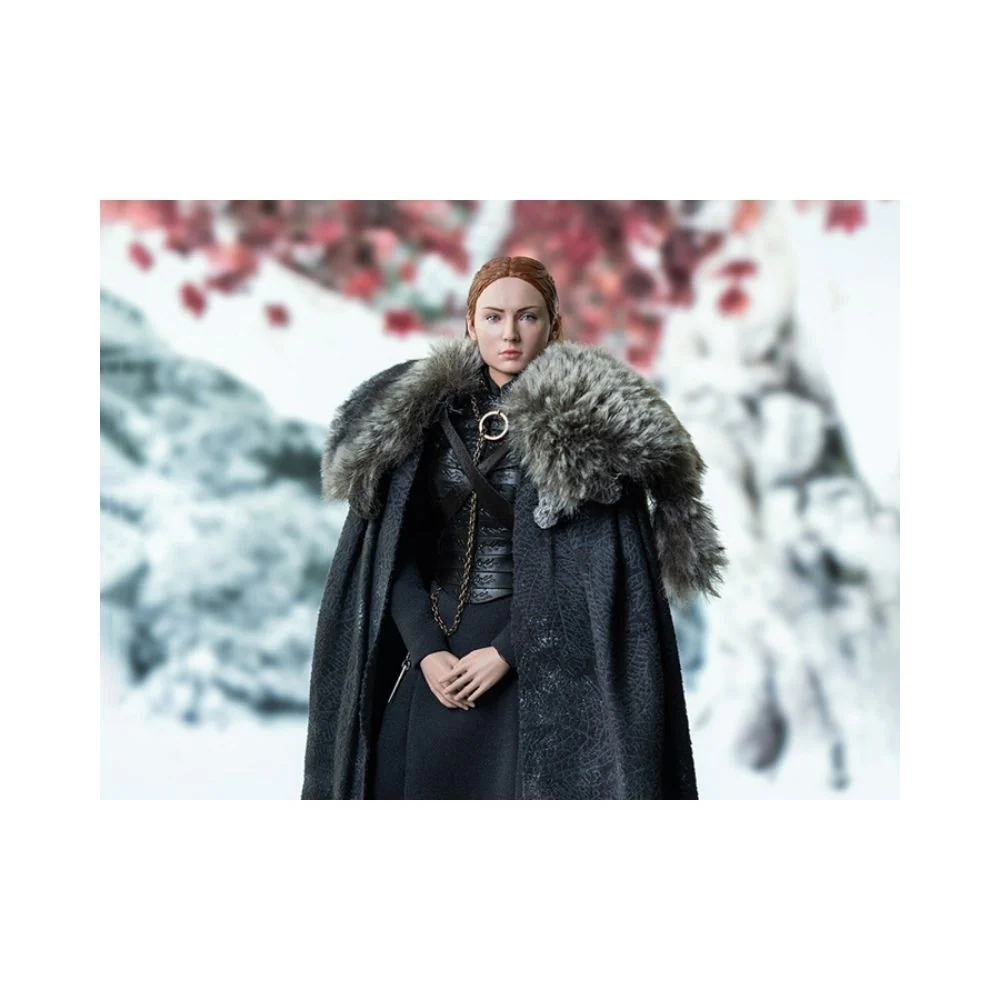 Threezero : Game of Thrones - Sansa Stark (Season 8) - Image 3