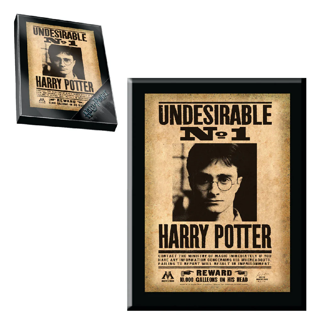 Harry Potter Undesirable No. 1 Sign Plaque by The Noble Collection - Image 3