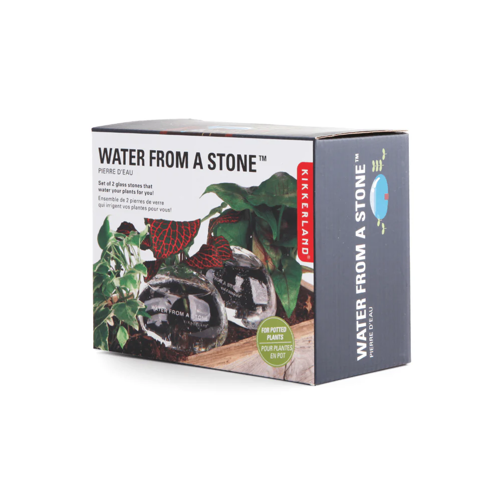 Water From A Stone